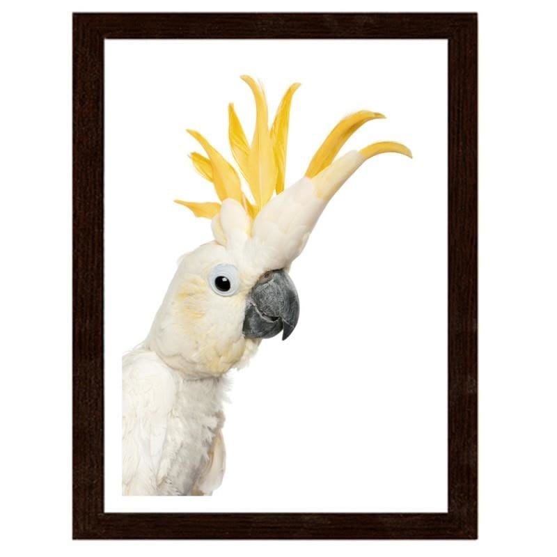 Glezna brūnā rāmī - Sulphur-crested cockatoos Home Trends DECO