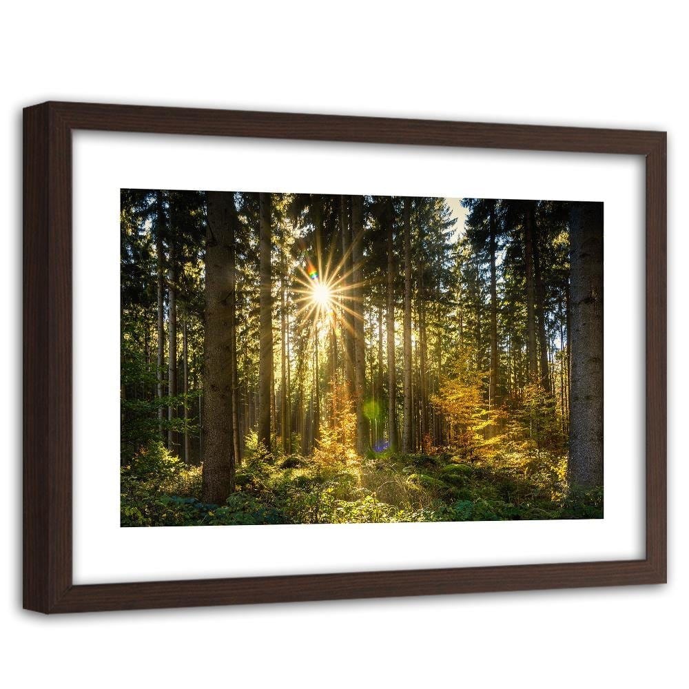 Glezna brūnā rāmī - Sun In The Forest Home Trends DECO