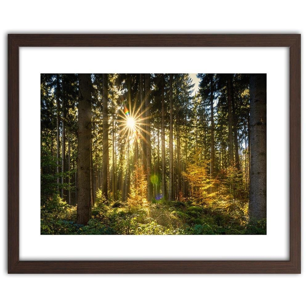 Glezna brūnā rāmī - Sun In The Forest Home Trends DECO