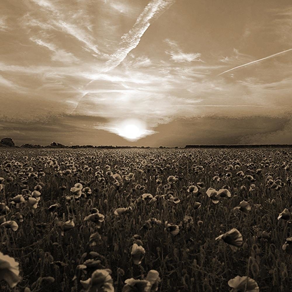 Glezna brūnā rāmī - Sunset Over A Field Poppy 1 Home Trends DECO
