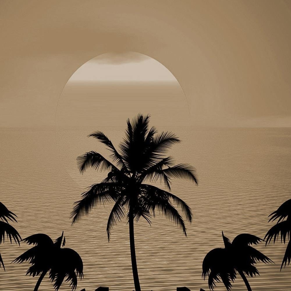 Glezna brūnā rāmī - Sunset With Palms 1 Home Trends DECO