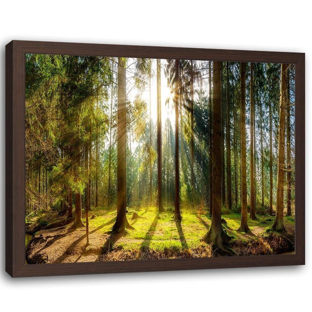 Glezna brūnā rāmī - Sunshine Behind The Trees Home Trends DECO