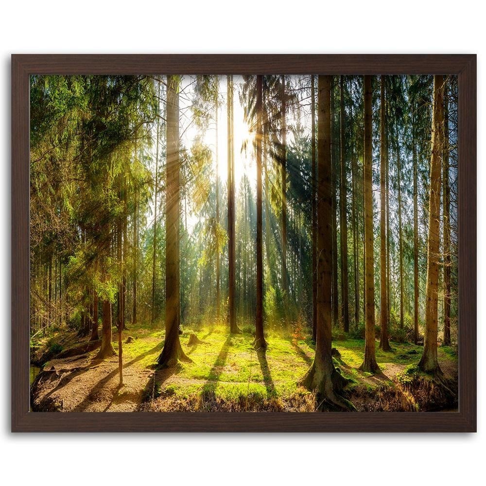 Glezna brūnā rāmī - Sunshine Behind The Trees Home Trends DECO