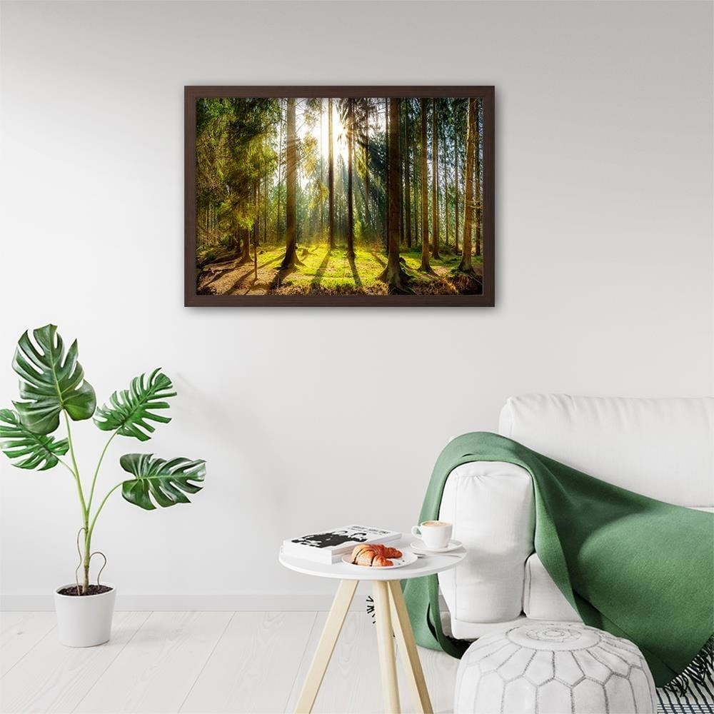 Glezna brūnā rāmī - Sunshine Behind The Trees Home Trends DECO