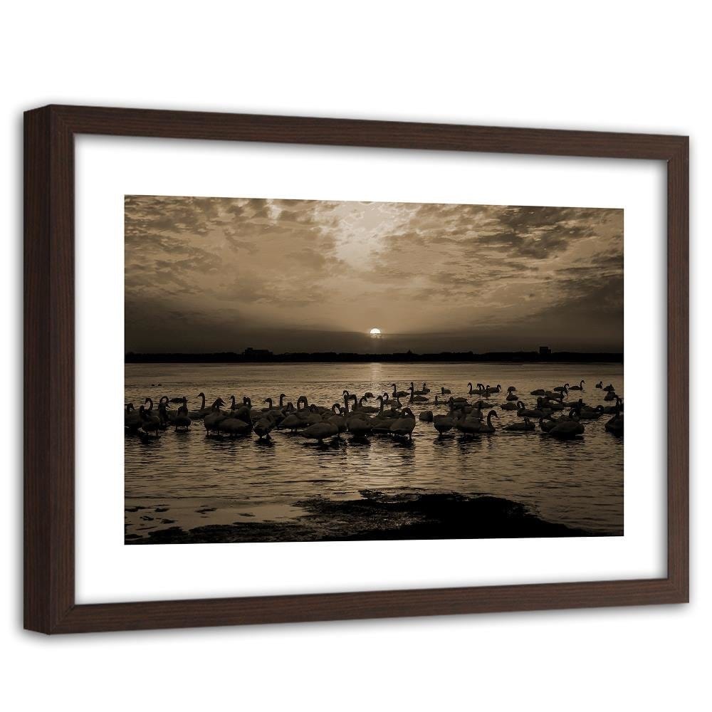 Glezna brūnā rāmī - Swans On Shore 1 Home Trends DECO