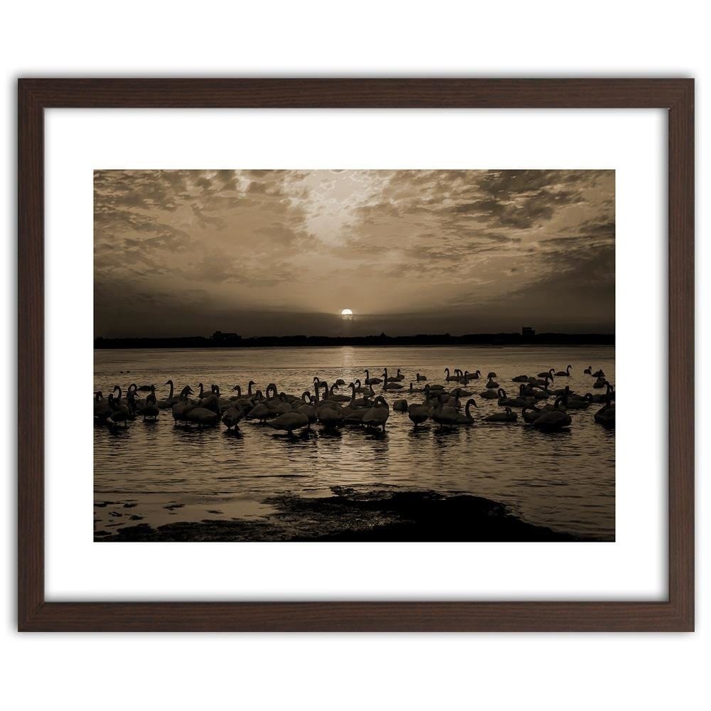 Glezna brūnā rāmī - Swans On Shore 1 Home Trends DECO