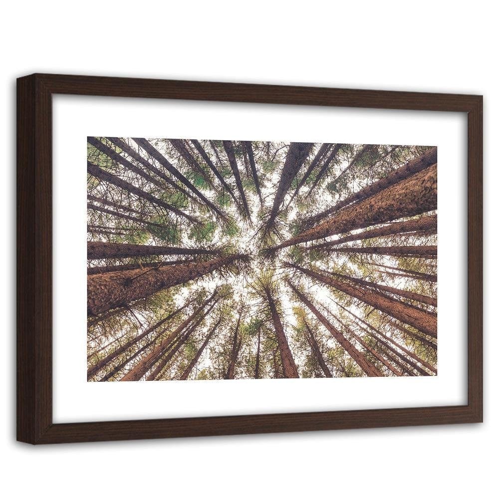Glezna brūnā rāmī - Tall Pines Home Trends DECO