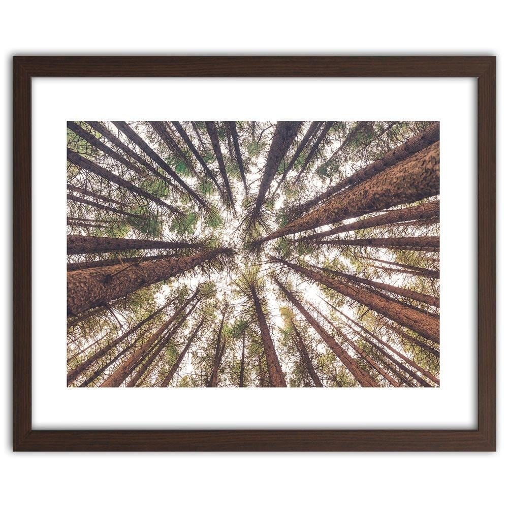 Glezna brūnā rāmī - Tall Pines Home Trends DECO