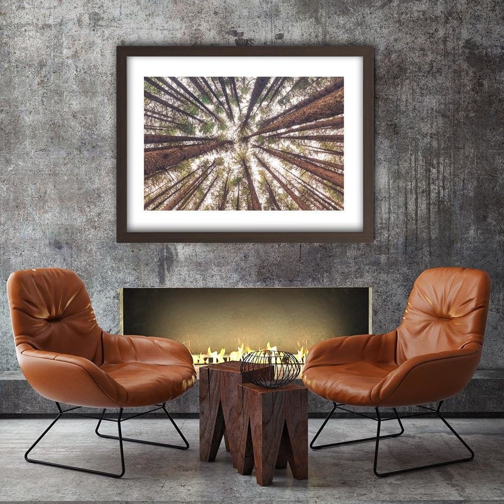 Glezna brūnā rāmī - Tall Pines Home Trends DECO