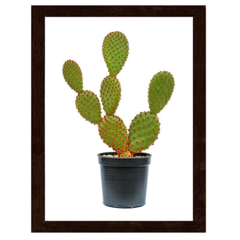 Glezna brūnā rāmī - The cactus in the pot Home Trends DECO