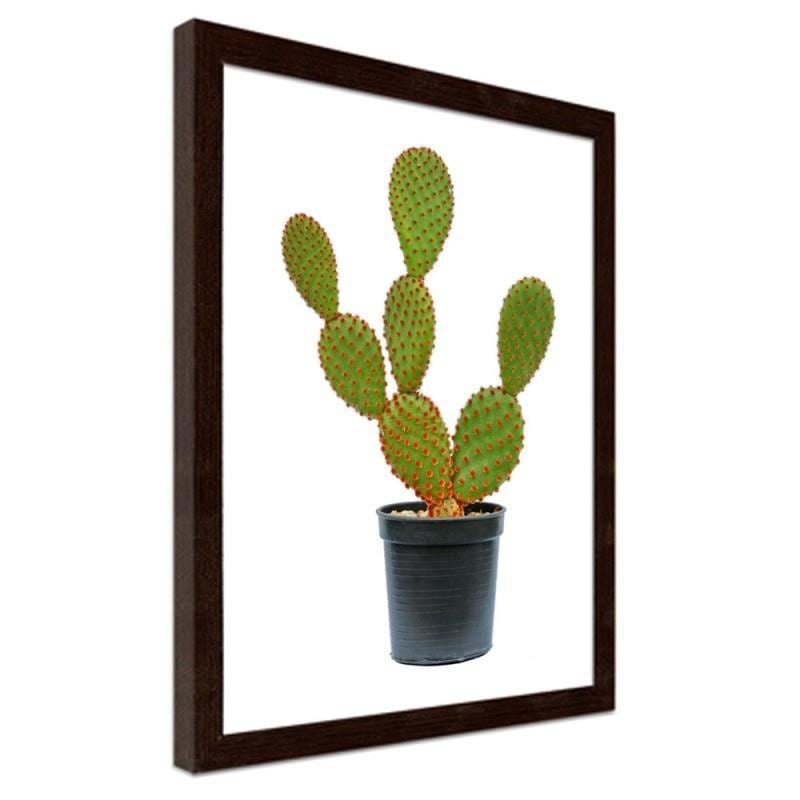 Glezna brūnā rāmī - The cactus in the pot Home Trends DECO