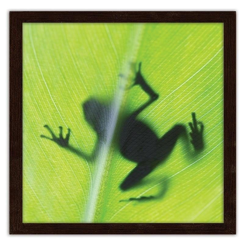 Glezna brūnā rāmī - The frog on the green leaf Home Trends DECO