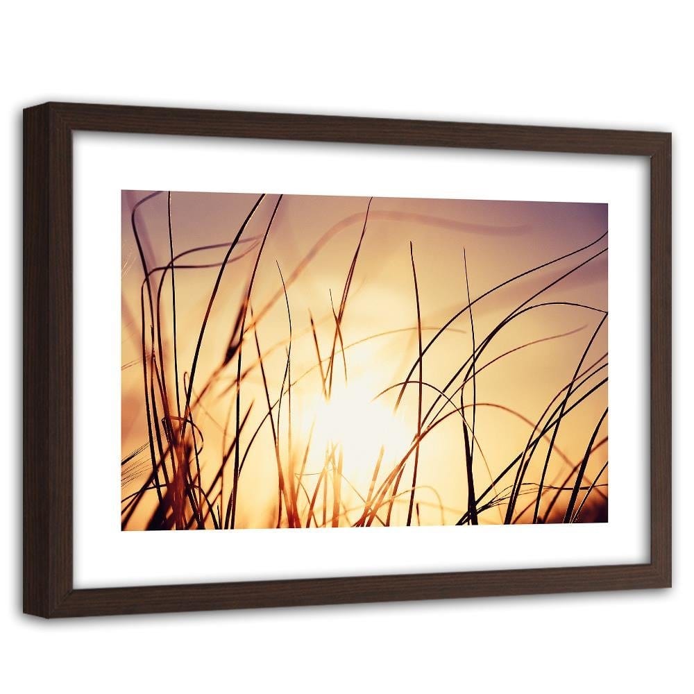 Glezna brūnā rāmī - The Grass In The Sunshine Home Trends DECO