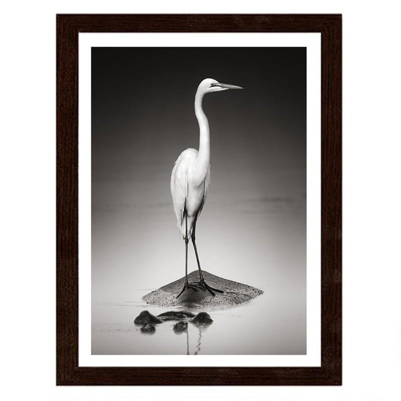 Glezna brūnā rāmī - The heron on the hippopotamus Home Trends DECO