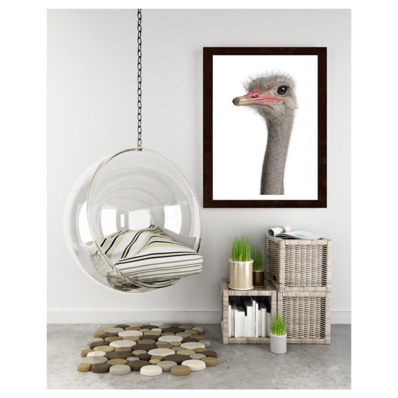 Glezna brūnā rāmī - The ostrich head Home Trends DECO