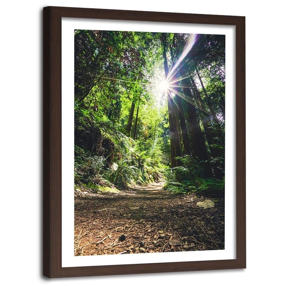 Glezna brūnā rāmī - The Path In The Jungle Home Trends DECO