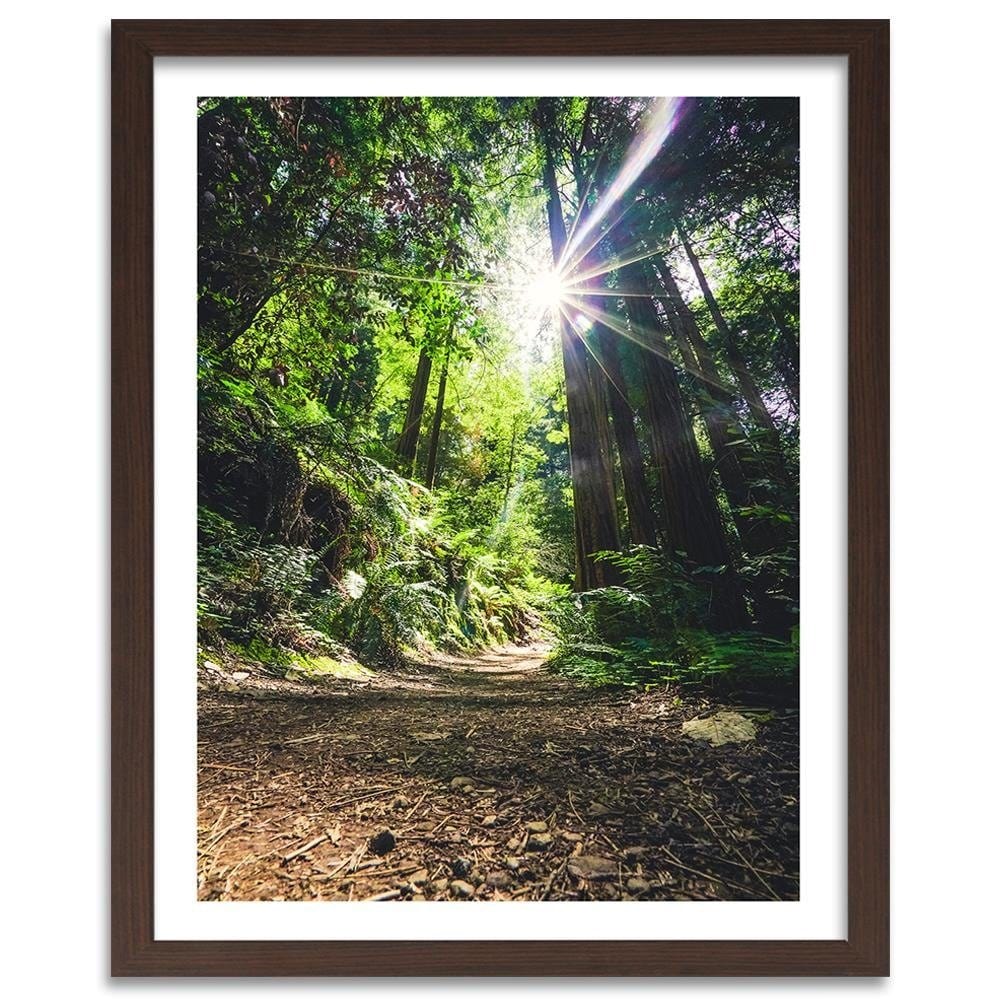 Glezna brūnā rāmī - The Path In The Jungle Home Trends DECO