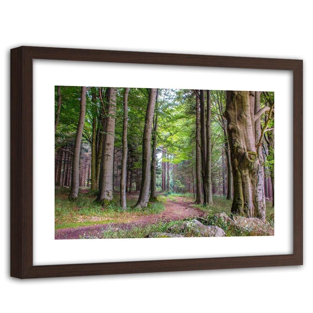 Glezna brūnā rāmī - The Path In The Woods Home Trends DECO