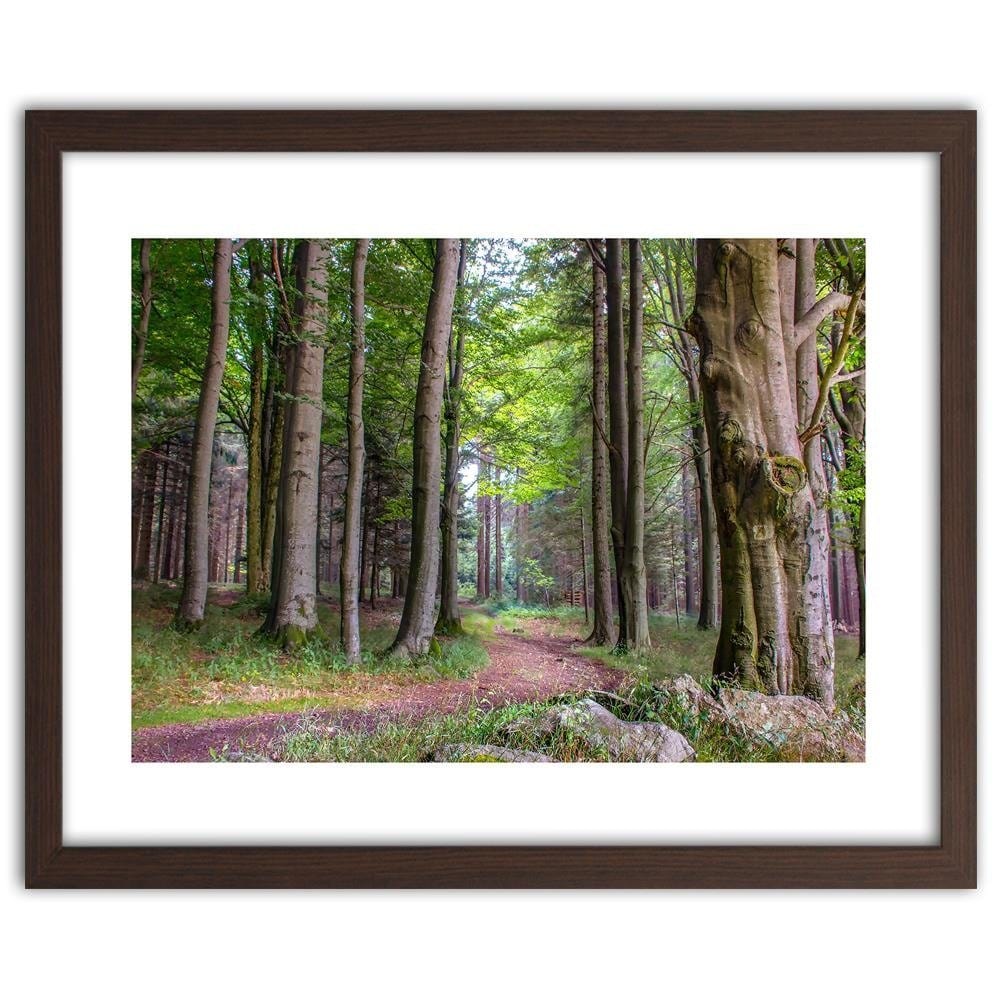 Glezna brūnā rāmī - The Path In The Woods Home Trends DECO
