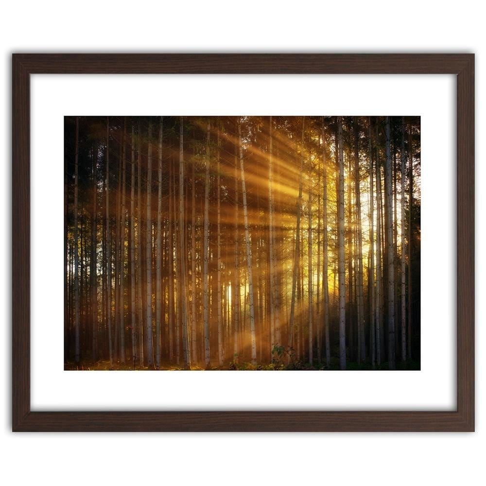 Glezna brūnā rāmī - The Rays Of The Sun In The Dense Forest Home Trends DECO