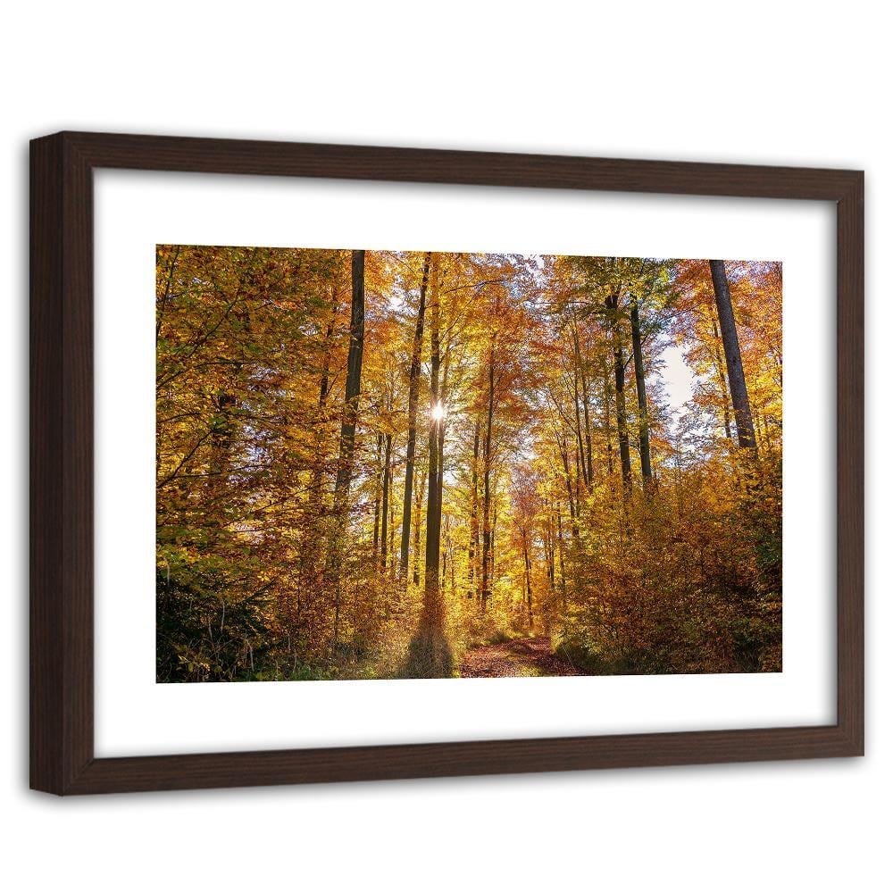 Glezna brūnā rāmī - The Rays Of The Sun In The Forest Home Trends DECO
