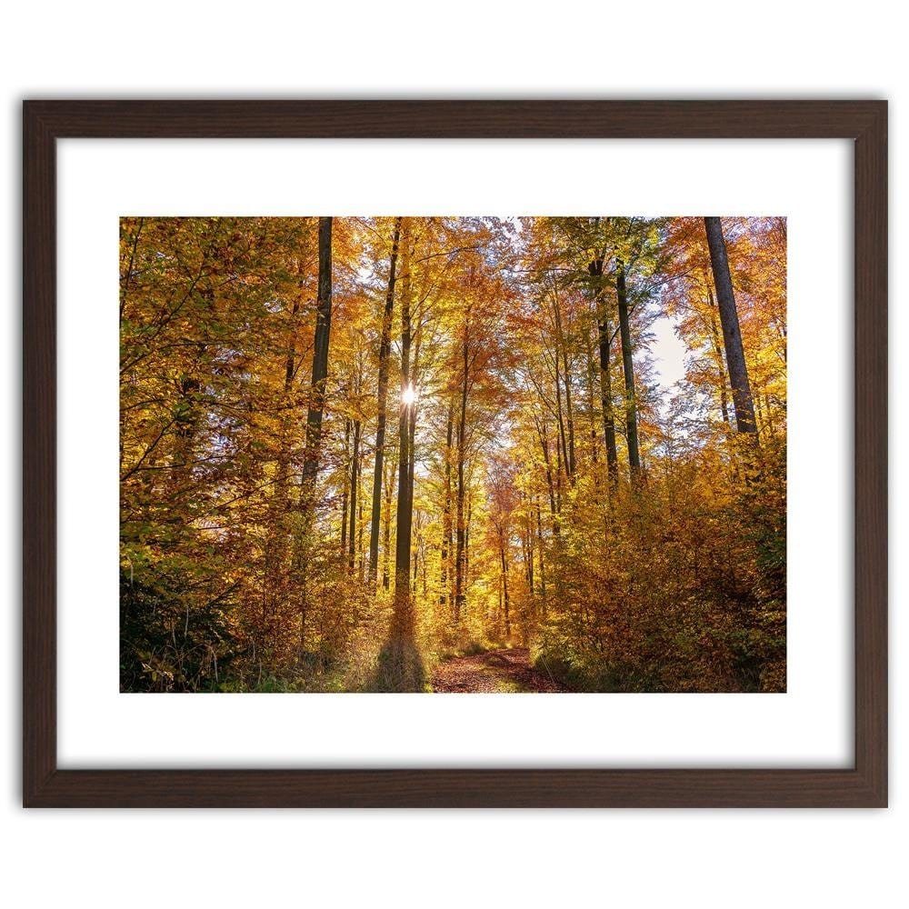 Glezna brūnā rāmī - The Rays Of The Sun In The Forest Home Trends DECO