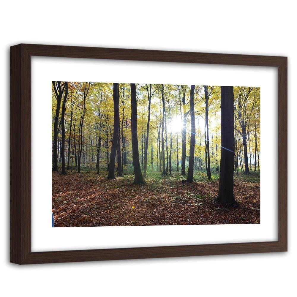 Glezna brūnā rāmī - The Rays Of The Sun In The Park Home Trends DECO