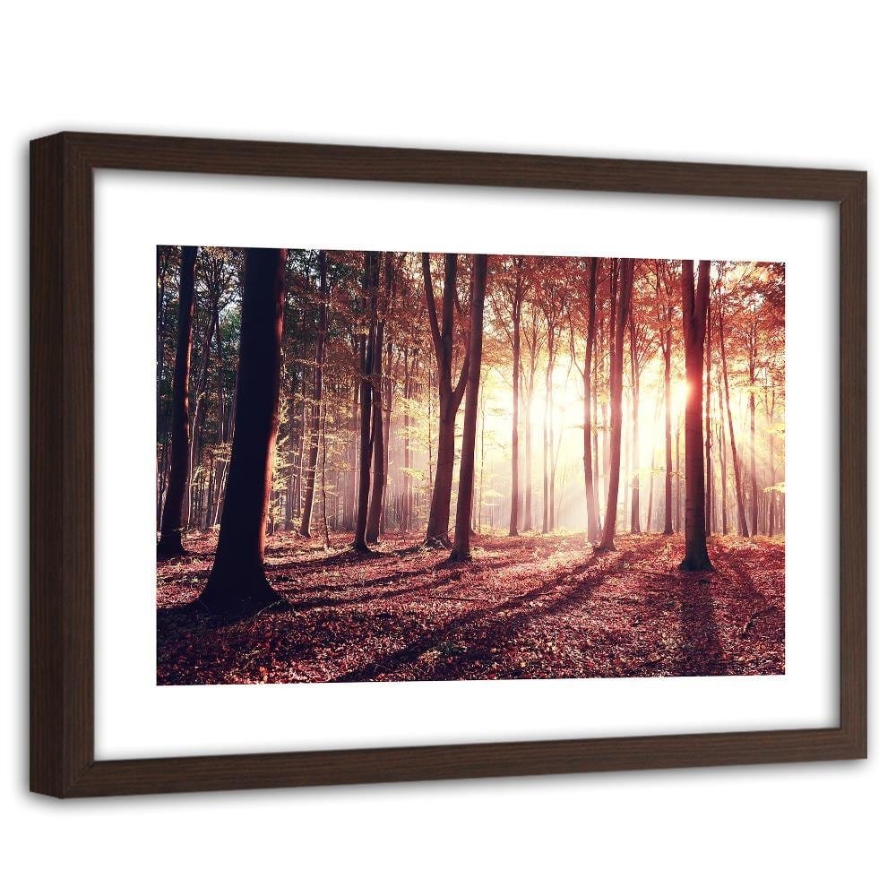 Glezna brūnā rāmī - The Rays Of The Sun Through The Trees Home Trends DECO