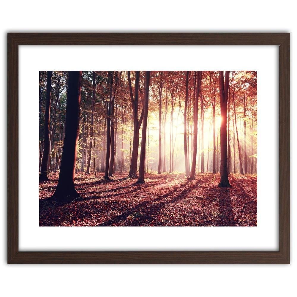 Glezna brūnā rāmī - The Rays Of The Sun Through The Trees Home Trends DECO