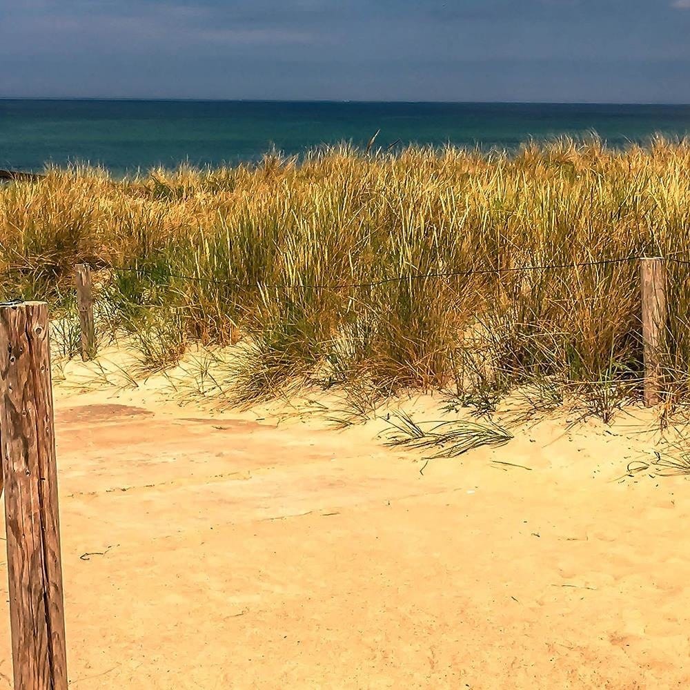 Glezna brūnā rāmī - The Road Through The Dunes Home Trends DECO