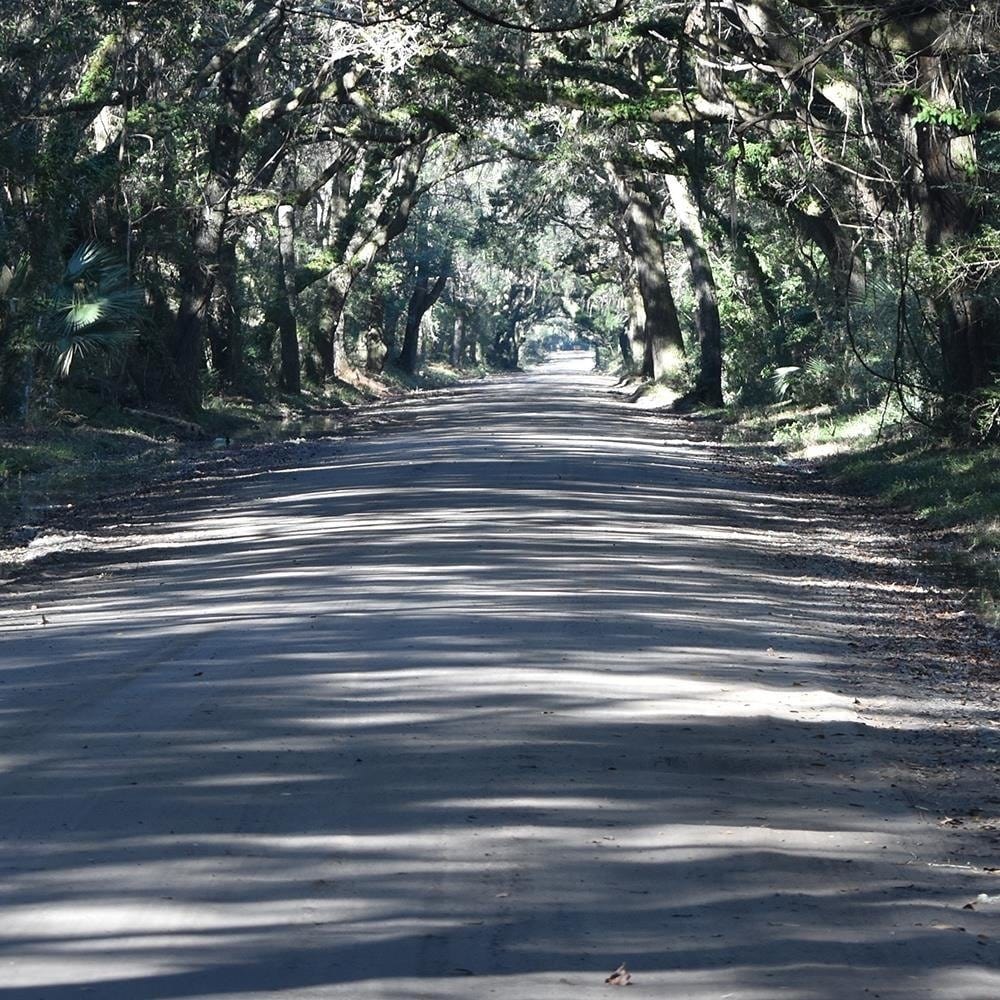 Glezna brūnā rāmī - The Road Through Thick Forest Home Trends DECO