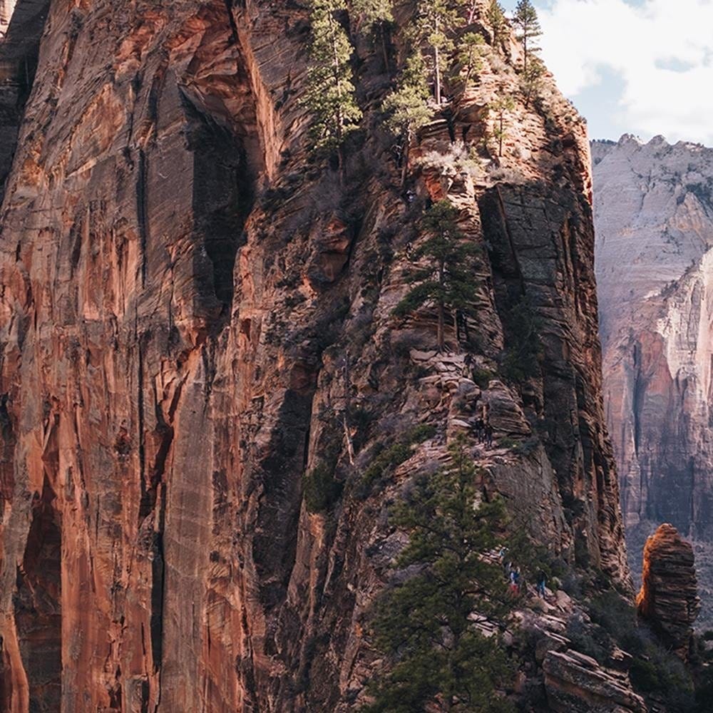 Glezna brūnā rāmī - The Road To Rock Home Trends DECO