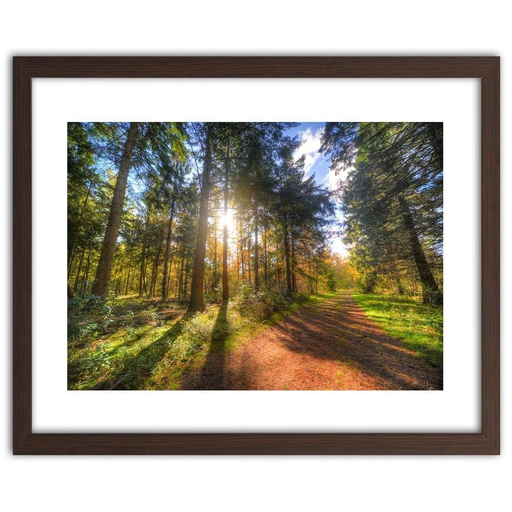 Glezna brūnā rāmī - The Sun Among The Trees Home Trends DECO