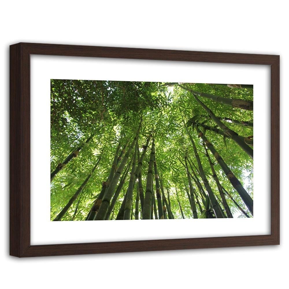 Glezna brūnā rāmī - The Tips Of Bamboo Home Trends DECO