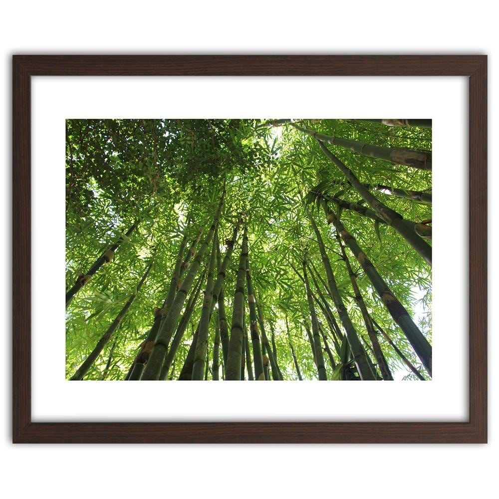 Glezna brūnā rāmī - The Tips Of Bamboo Home Trends DECO