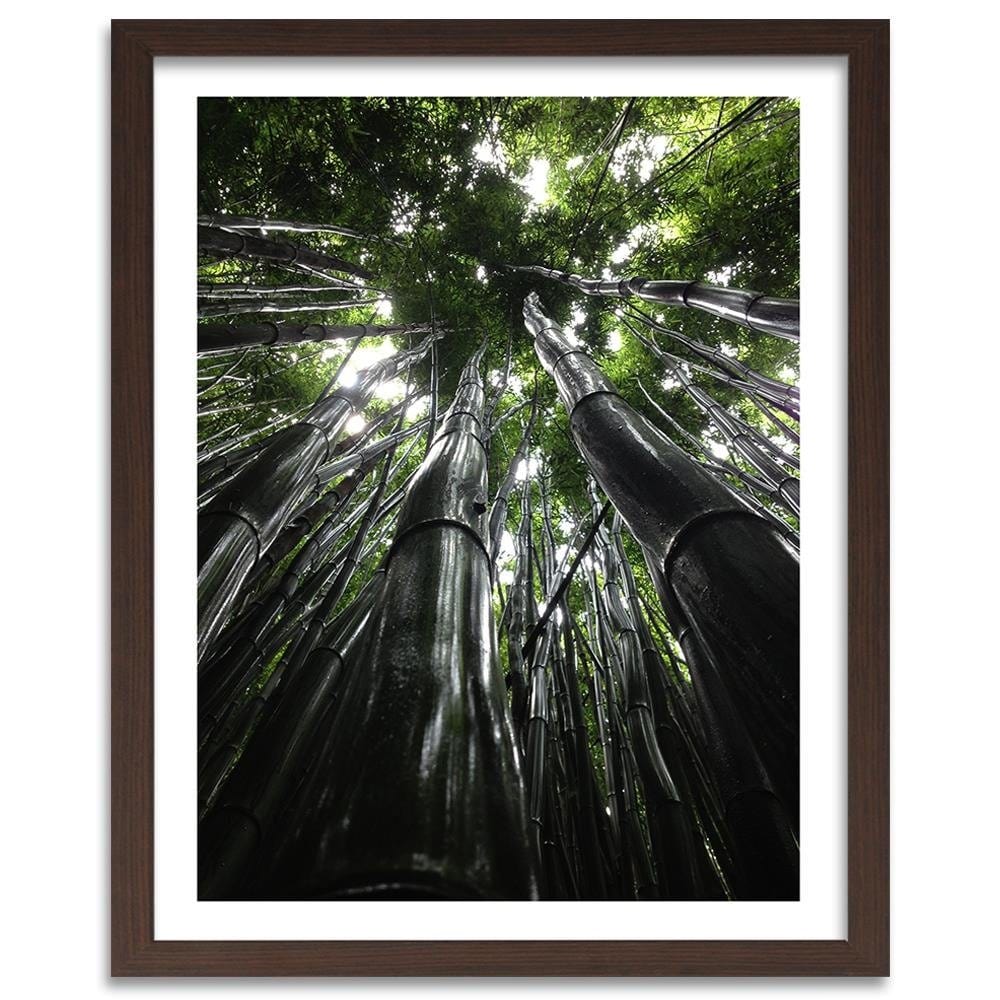 Glezna brūnā rāmī - The Tops Of Tall Trees Home Trends DECO