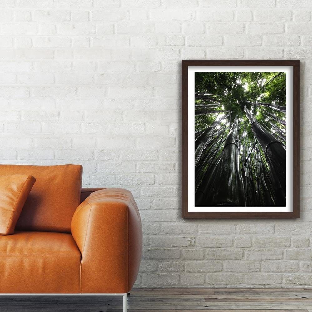 Glezna brūnā rāmī - The Tops Of Tall Trees Home Trends DECO