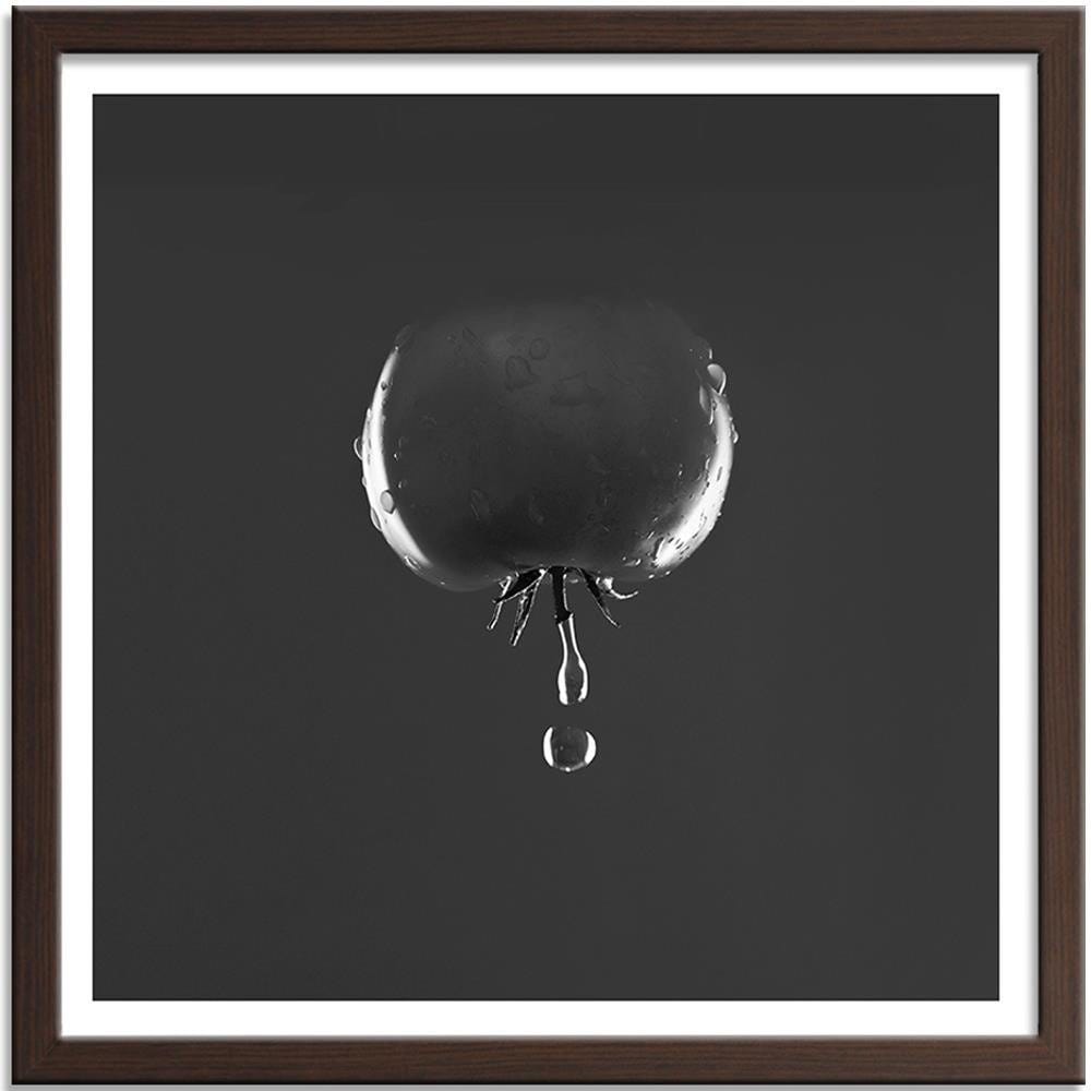 Glezna brūnā rāmī - Tomato And Water Drops 2 Home Trends DECO