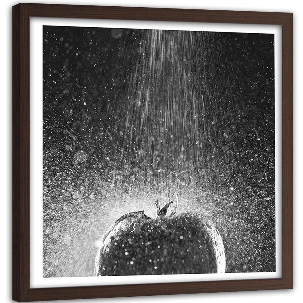 Glezna brūnā rāmī - Tomato In Water Stream Of 2 Home Trends DECO