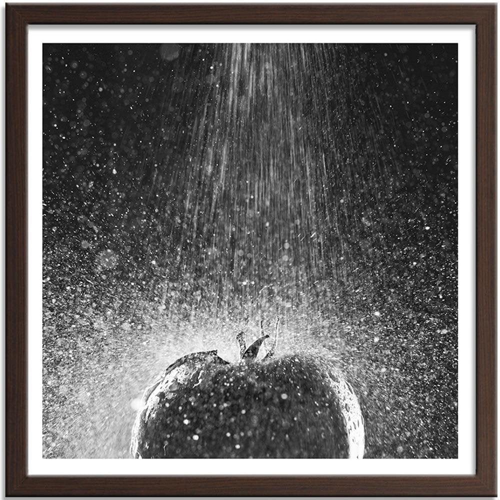 Glezna brūnā rāmī - Tomato In Water Stream Of 2 Home Trends DECO