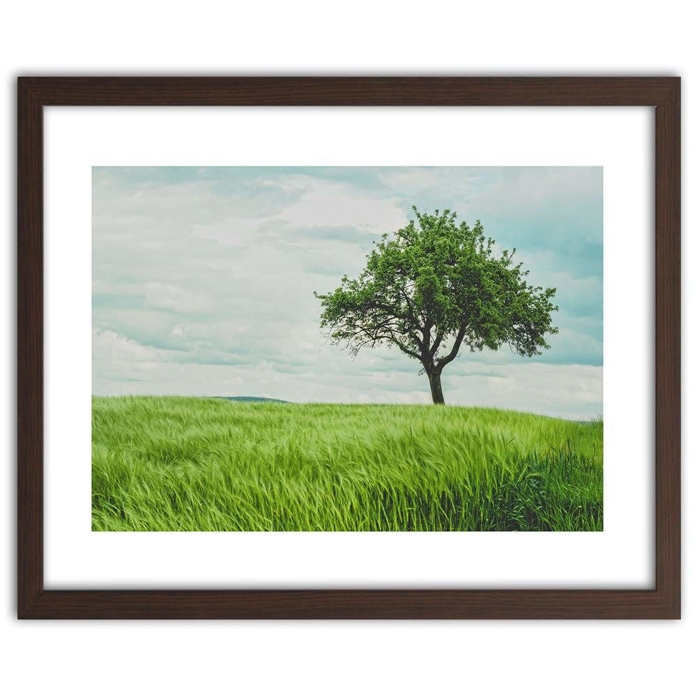 Glezna brūnā rāmī - Tree In Half Home Trends DECO
