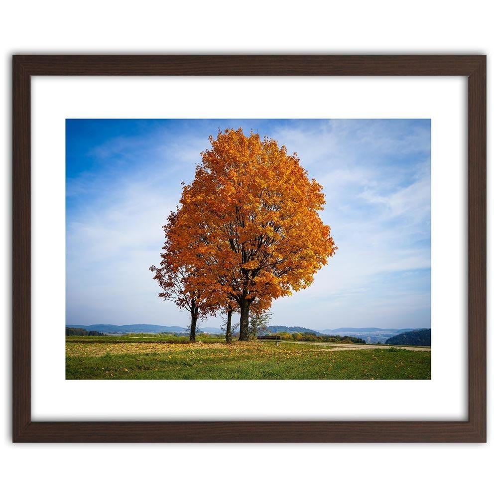 Glezna brūnā rāmī - Tree On The Hill Home Trends DECO
