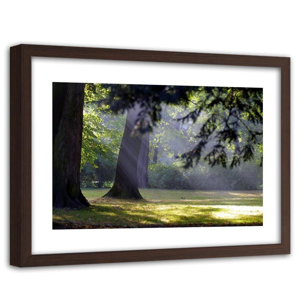 Glezna brūnā rāmī - Trees In The Park Home Trends DECO