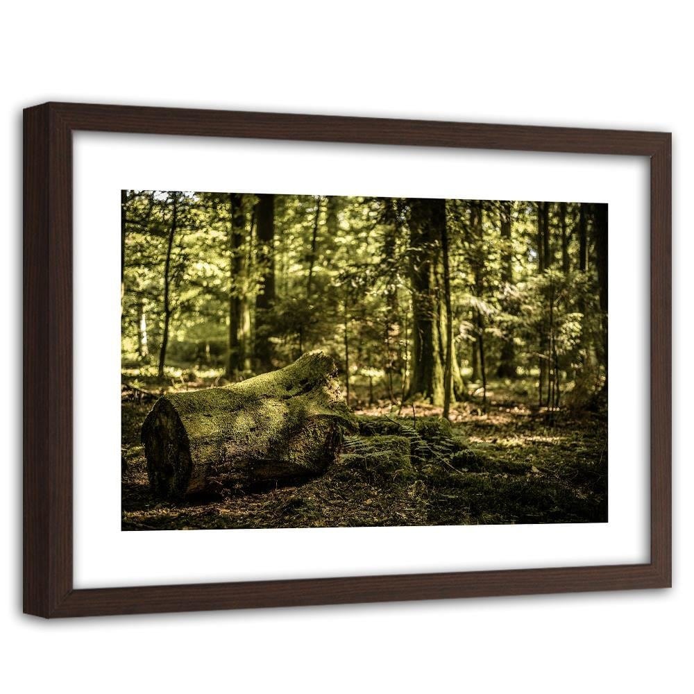 Glezna brūnā rāmī - Trunk Covered With Moss Home Trends DECO
