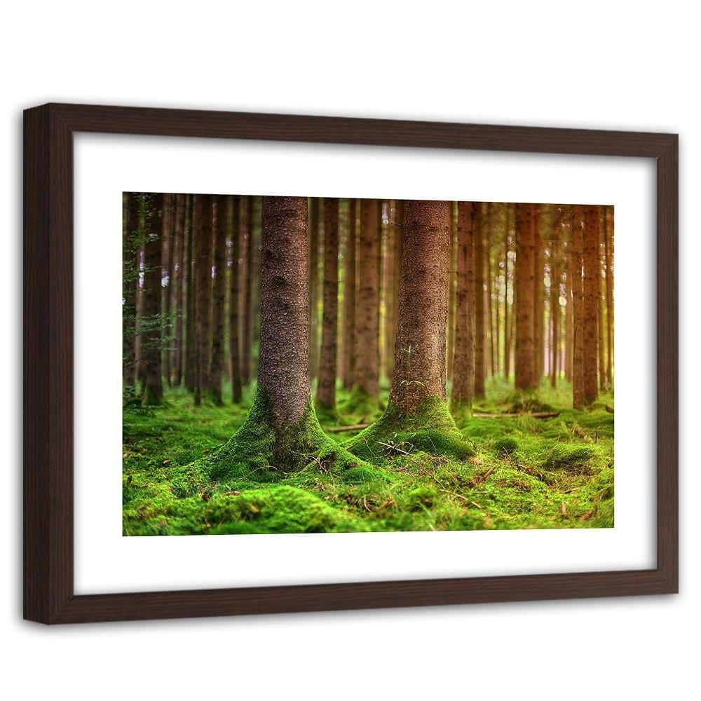 Glezna brūnā rāmī - Trunks Covered With Moss Home Trends DECO