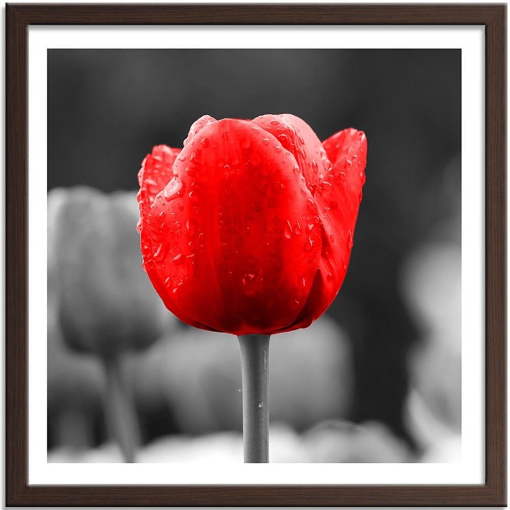 Glezna brūnā rāmī - Tulip In Red Home Trends DECO