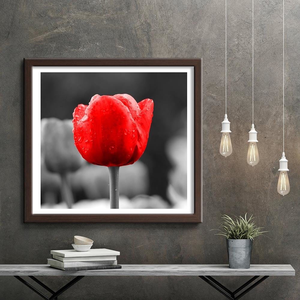 Glezna brūnā rāmī - Tulip In Red Home Trends DECO