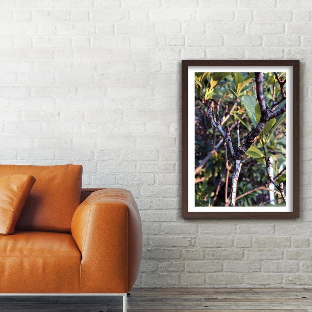 Glezna brūnā rāmī - Twig Bush Home Trends DECO