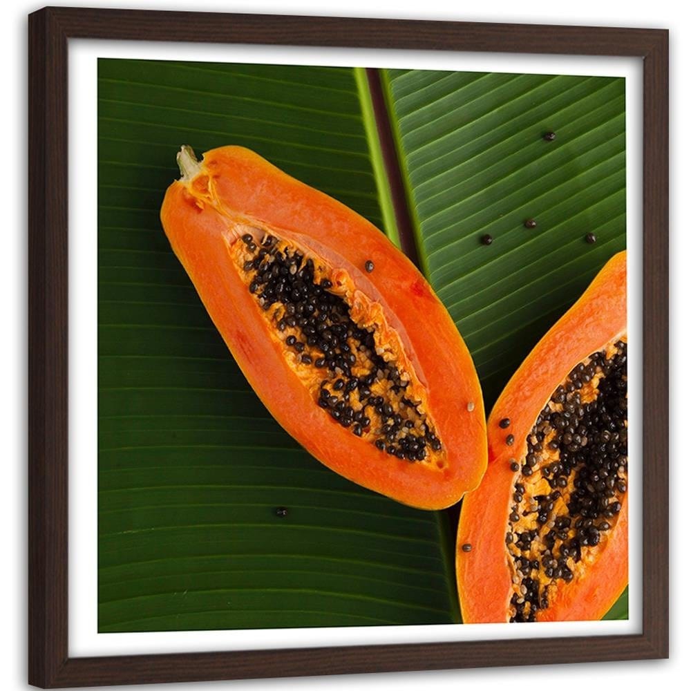 Glezna brūnā rāmī - Two Halves Papaya 2 Home Trends DECO