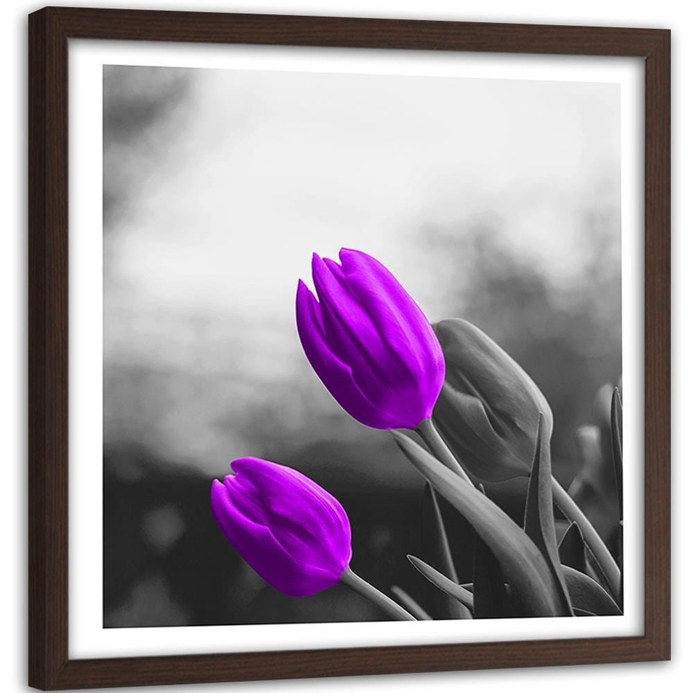 Glezna brūnā rāmī - Two Purple Tulips Home Trends DECO